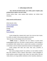 Prakses atskaite 'Sociālā pedagoga prakses atskaite', 6.