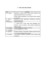 Prakses atskaite 'Sociālā pedagoga prakses atskaite', 8.