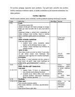 Prakses atskaite 'Sociālā pedagoga prakses atskaite', 11.