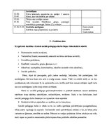 Prakses atskaite 'Sociālā pedagoga prakses atskaite', 12.