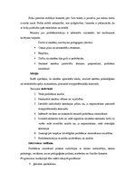 Prakses atskaite 'Sociālā pedagoga prakses atskaite', 18.