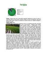 Referāts 'Indonēzija', 2.