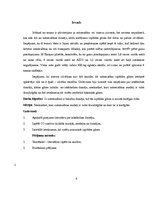 Referāts 'Iekšdedzes dzinēja izplūdes gāzes', 4.