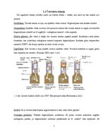 Referāts 'Iekšdedzes dzinēja izplūdes gāzes', 7.