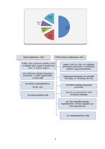 Referāts 'Jaunuzņēmumu un dzīvesstila uzņēmumu dibināšanas riski', 3.