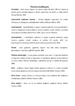 Referāts 'Jaunuzņēmumu un dzīvesstila uzņēmumu dibināšanas riski', 38.