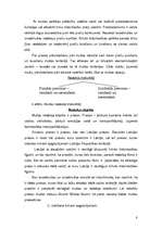 Referāts 'Netiešie nodokļi', 8.