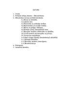 Referāts 'Demokrātija', 2.