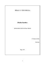 Referāts 'Jēkaba baznīca', 1.