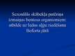 Prezentācija 'Sezonālās skābekļa patēriņa izmaiņas bentosa organismiem: atbilde uz ledus aļģu ', 1.