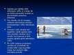 Prezentācija 'Sezonālās skābekļa patēriņa izmaiņas bentosa organismiem: atbilde uz ledus aļģu ', 3.