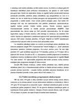 Referāts 'Finanšu investīciju vadības process un etapi', 12.