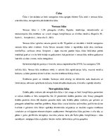 Referāts 'Aprūpes un dzīves kvalitātes izvērtējums pacientiem ar hroniski nedzīstošām brūc', 5.