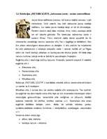 Referāts 'Apģērbu kolekcijas kompozīcija', 3.