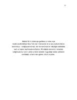 Referāts 'Apģērbu kolekcijas kompozīcija', 13.