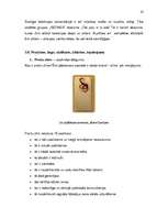 Referāts 'Apģērbu kolekcijas kompozīcija', 16.