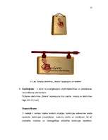 Referāts 'Apģērbu kolekcijas kompozīcija', 18.