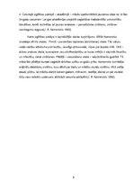 Referāts 'Jans Amoss Komenskis', 9.