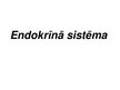 Prezentācija 'Endokrīnā sistēma', 4.