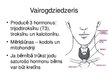Prezentācija 'Endokrīnā sistēma', 10.