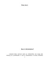 Konspekts 'Cilvēktiesības. Starptautisko tiesību avoti', 2.