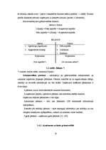 Diplomdarbs 'Kredīta loma uzņēmuma "X" saimnieciskajā darbībā', 19.