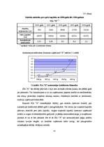 Diplomdarbs 'Kredīta loma uzņēmuma "X" saimnieciskajā darbībā', 41.