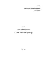 Referāts 'LEAN ražošanas principi', 1.