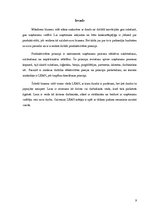 Referāts 'LEAN ražošanas principi', 3.