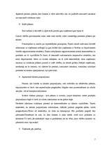 Referāts 'LEAN ražošanas principi', 7.