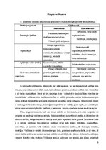 Konspekts 'Vadības stili un to efektivitāte', 9.