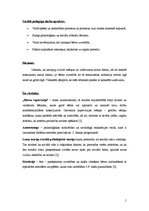 Prakses atskaite 'Nometnes nepilngadīgajiem programma', 5.