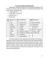 Referāts 'Cikla operators "For"', 4.