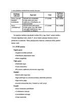 Biznesa plāns 'SIA "Logu nams"', 13.