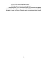 Prakses atskaite 'Prakses atskaite - finanšu grāmatvedība', 38.