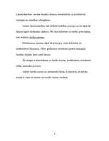 Referāts 'Tiesību norma un tās struktūra', 4.