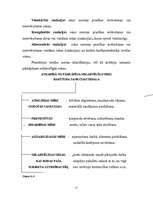 Referāts 'Tiesību norma un tās struktūra', 15.