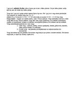 Konspekts 'Senie laiki', 4.