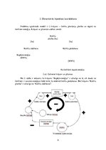 Referāts 'Kārklu platību atkarība no enerģijas pieprasījuma', 6.