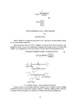 Referāts 'Kārklu platību atkarība no enerģijas pieprasījuma', 10.
