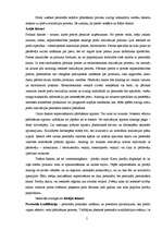 Referāts 'Preču realizācijas personāla sastāva plānošana', 5.