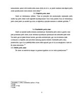 Referāts 'Preču zīmju izmantošanas tiesiskais regulējums un problēmas', 8.