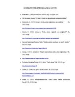 Referāts 'Preču zīmju izmantošanas tiesiskais regulējums un problēmas', 13.