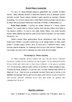 Referāts 'Baroks. Sv.Pētera katedrāle', 5.