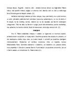 Referāts 'Baroks. Sv.Pētera katedrāle', 7.