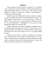 Referāts 'Baroks. Sv.Pētera katedrāle', 8.