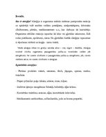 Referāts 'Alerģija', 4.