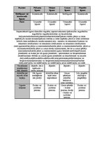 Paraugs 'Saistību tiesību sevišķā daļa - līgumu salīdzinājums', 1.