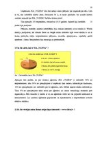 Diplomdarbs 'Sabiedrisko attiecību tehnoloģijas tūrisma aģentūras SIA "VLISSA" virzībā', 59.