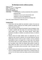 Referāts 'Pedagoģijas prakses apraksts ', 4.